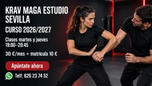 Clases de Krav Maga en Sevilla 2026/2027